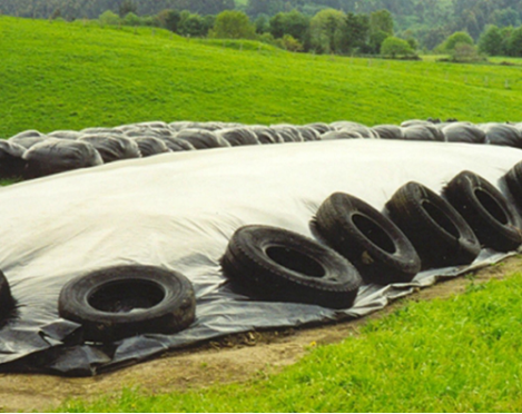 新光公司自主研發(fā)的長(zhǎng)效黑白隔熱膜通過省級(jí)新品驗(yàn)收