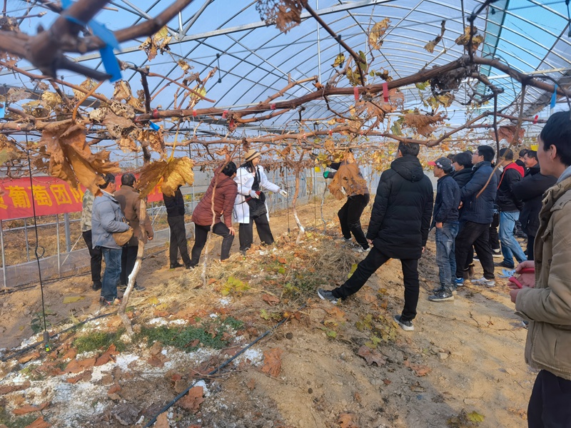 1609985766618365.jpg IMG_20201222_144050(1)_副本.jpg