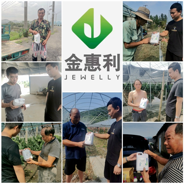 寧波金惠利為臺風受災地區(qū)&ldquo;農友會&rdquo;成員送溫暖