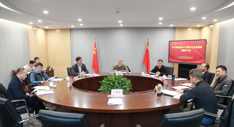 集團(tuán)黨委理論學(xué)習(xí)中心組專(zhuān)題學(xué)習(xí)貫徹 黨的十九屆六中全會(huì)精神