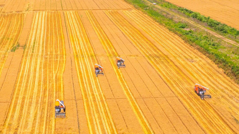 浙農(nóng)股份典型案例入選全國總社&ldquo;綠色農(nóng)資&rdquo;升級行動案例集