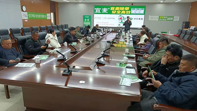 山東浙農(nóng)晟通聯(lián)合江蘇龍燈舉辦&ldquo;宜麥&rdquo;市場啟動會