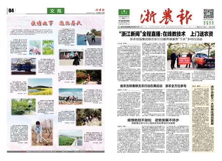 浙農報2020第4期（一、四版）