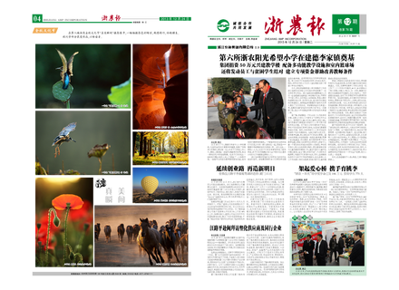 浙農(nóng)報2013年第12期（一、四版）